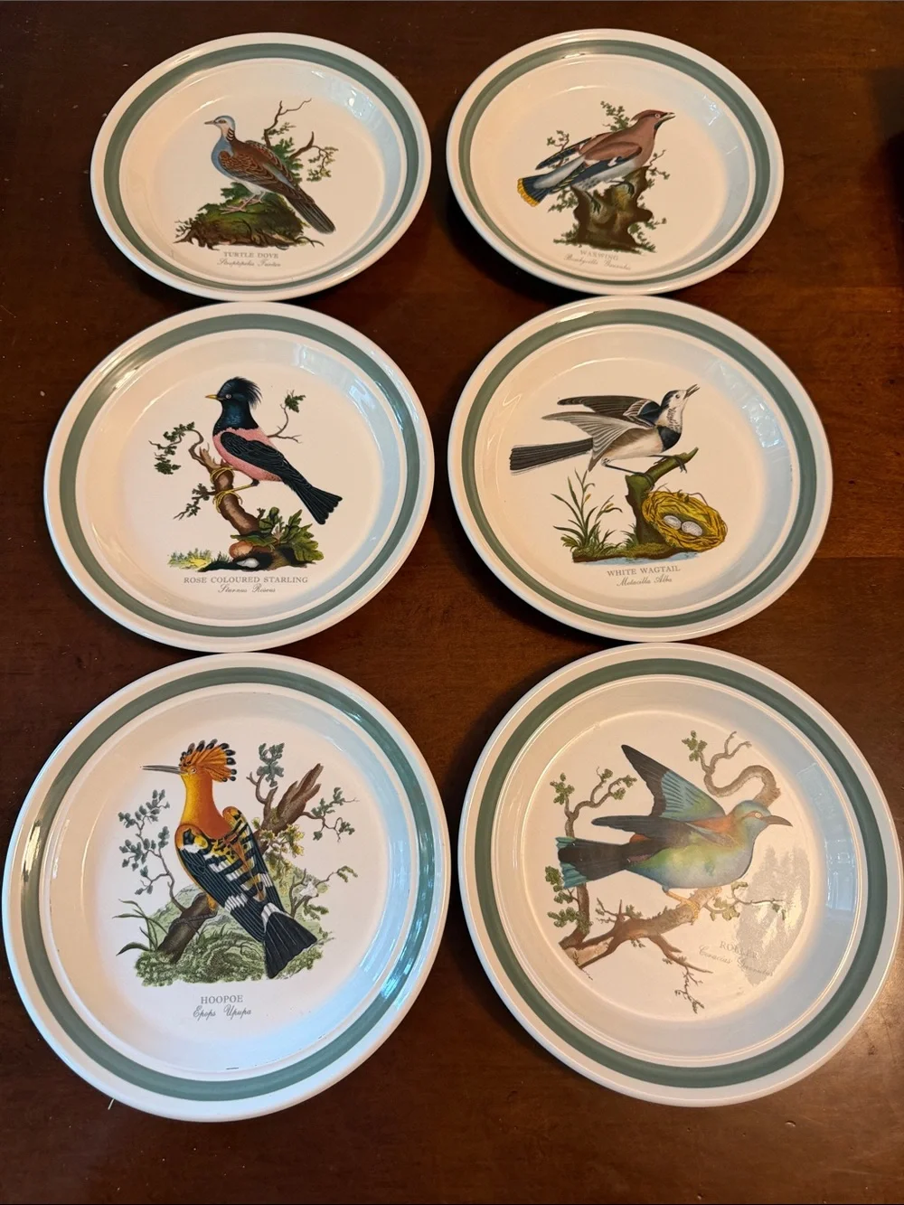 Portmeirion Birds of Britain Salad Plates in Green and White - Set of 6